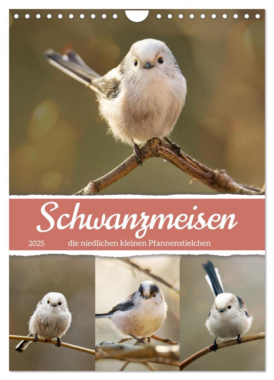 Cover: 9783383811197 | Schwanzmeisen, die niedlichen kleinen Pfannenstielchen...