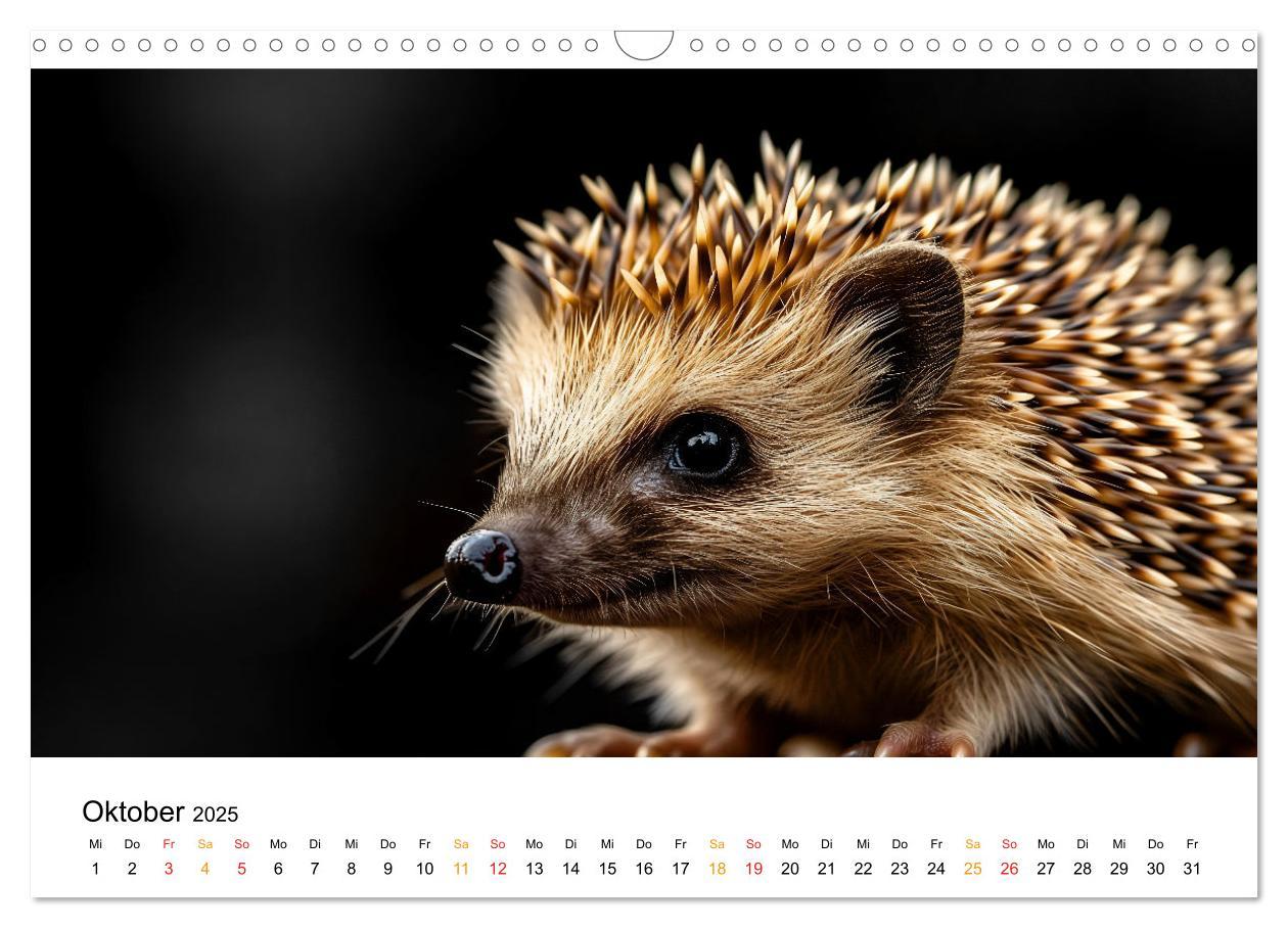 Bild: 9783457223253 | Wilde Heimat - Tiere unserer Natur (Wandkalender 2025 DIN A3 quer),...