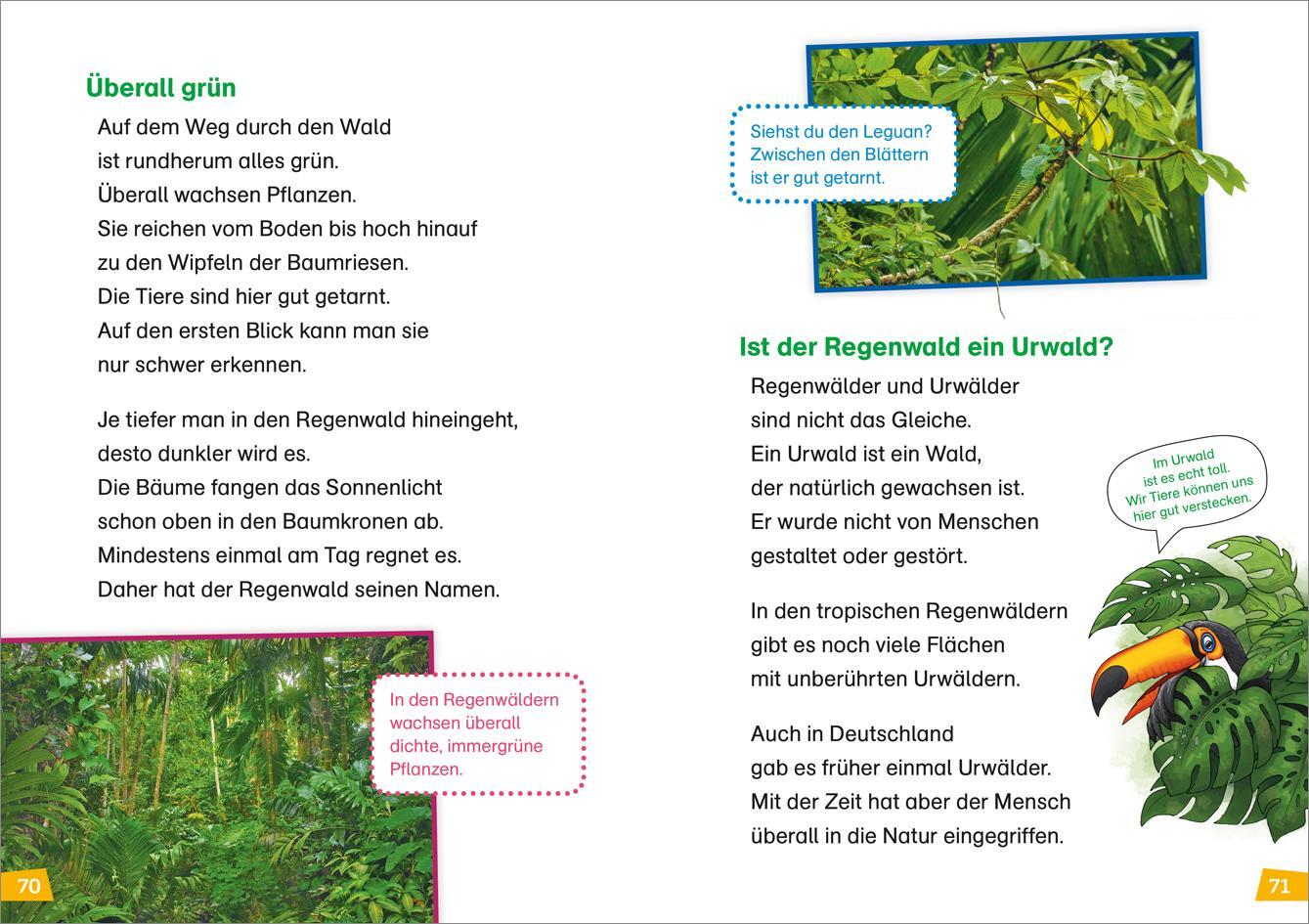 Bild: 9783788681210 | WAS IST WAS Erstes Lesen Doppelband 3.Vulkane/Regenwald | Braun | Buch