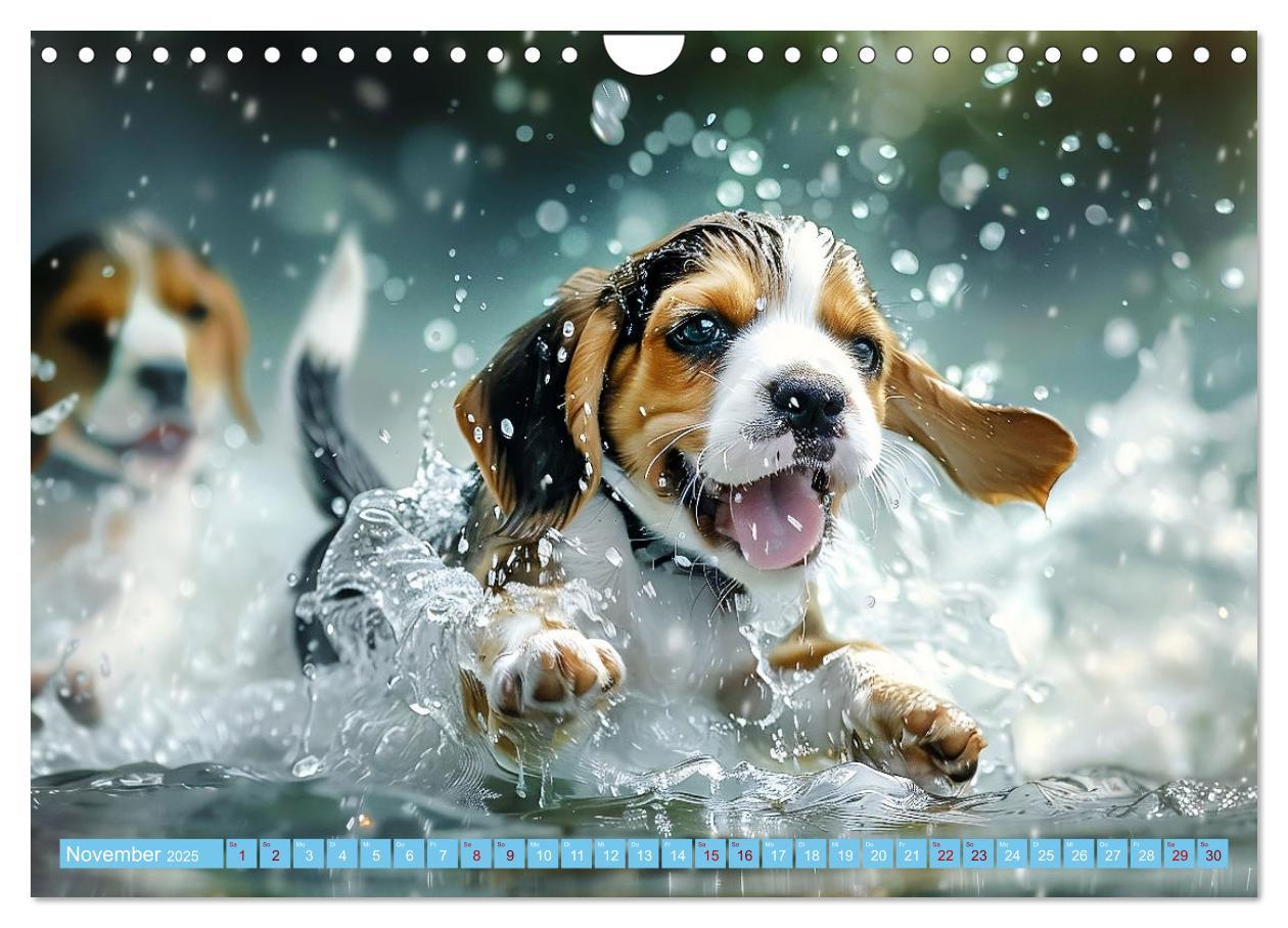 Bild: 9783457129227 | Hunde und Wasser (Wandkalender 2025 DIN A4 quer), CALVENDO...