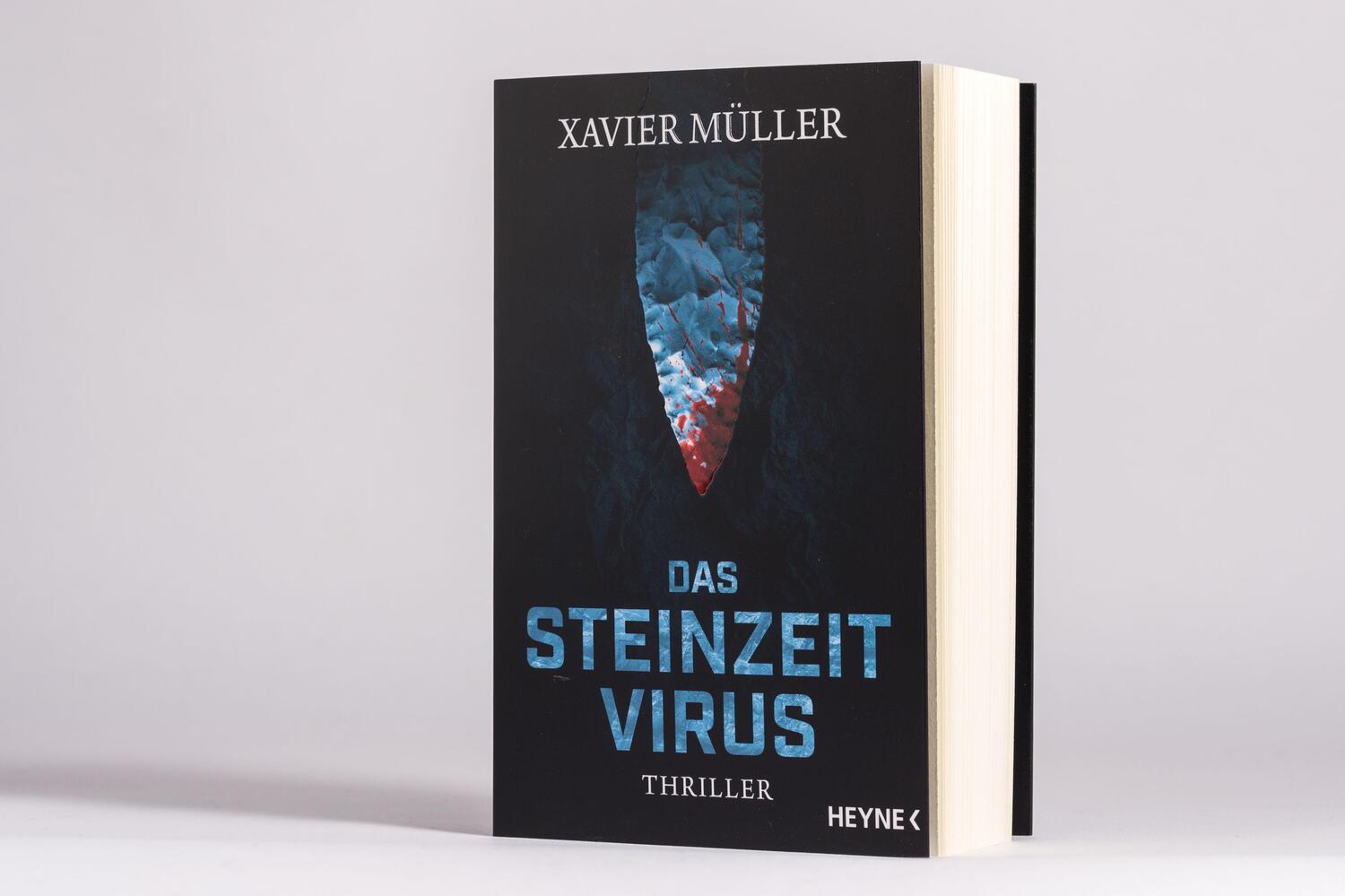 Bild: 9783453440951 | Das Steinzeit-Virus | Roman | Xavier Müller | Taschenbuch | 480 S.