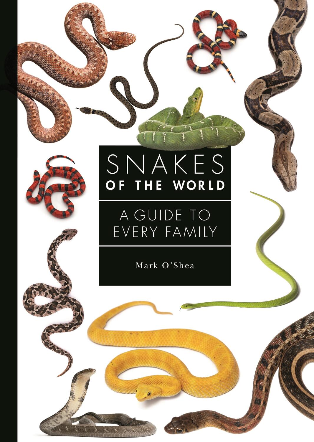 Cover: 9780691240664 | Snakes of the World | A Guide to Every Family | Mark O'shea | Buch