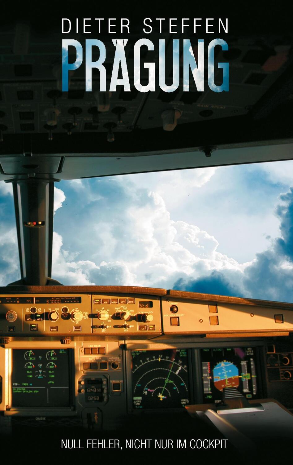 Cover: 9783738660272 | Prägung | Null Fehler, nicht nur im Cockpit | Dieter Steffen | Buch