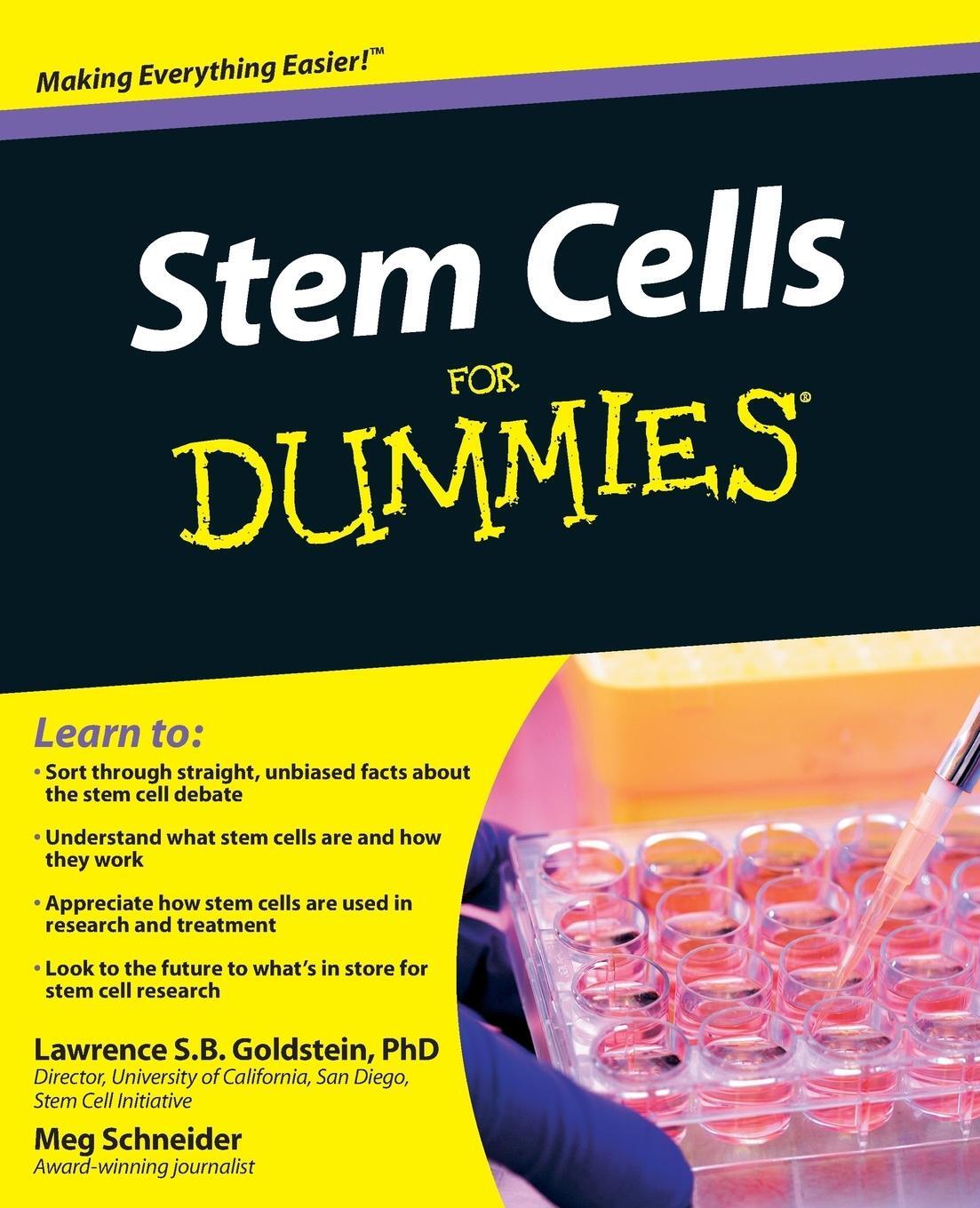 Cover: 9780470259283 | Stem Cells For Dummies | Goldstein | Taschenbuch | Paperback | 384 S.