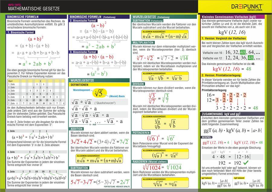 Rückseite: 9783864486654 | Mathematische Gesetze. Info-Tafel | Michael Schulze | Buch | Deutsch