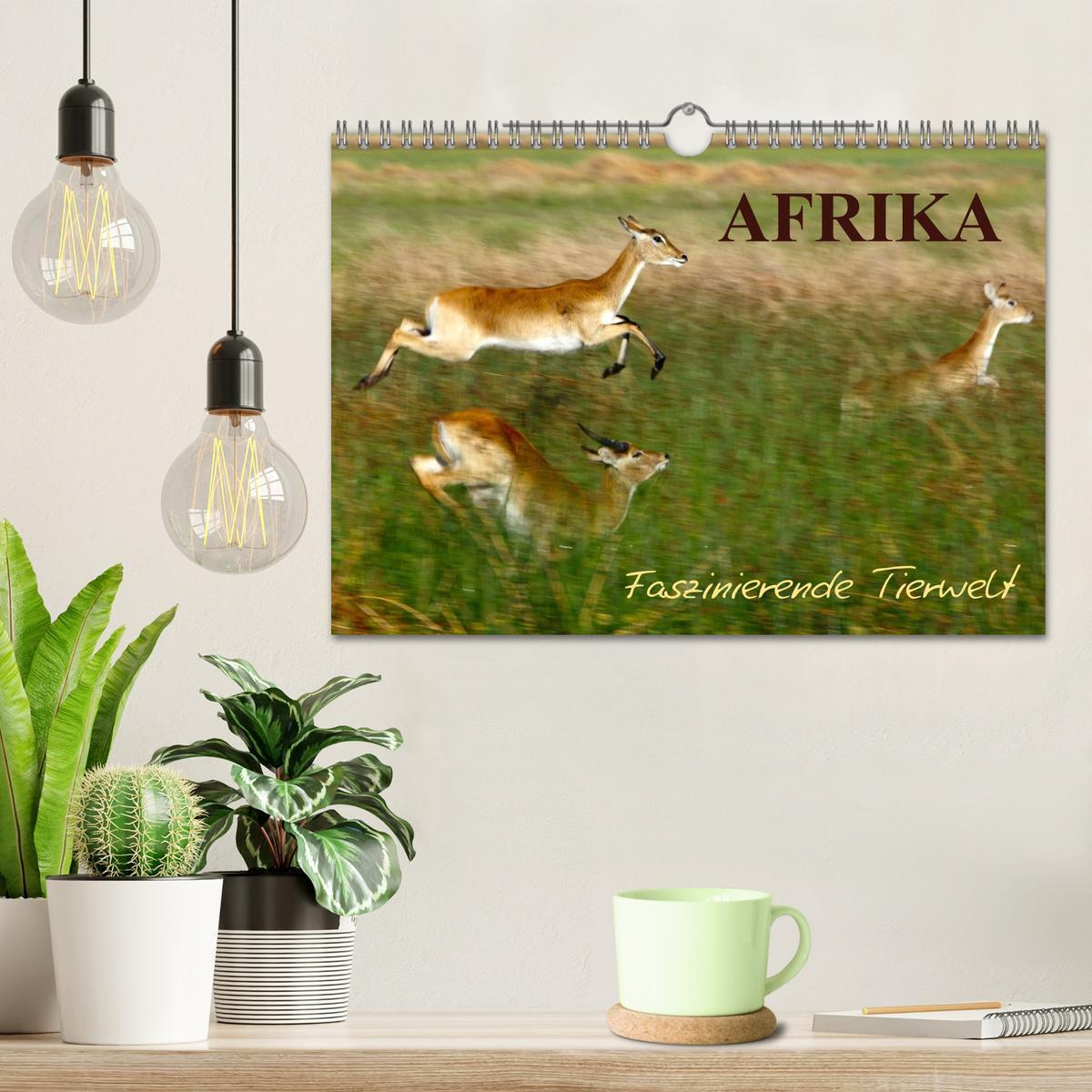 Bild: 9783435675487 | Afrika - Faszinierende Tierwelt (Wandkalender 2025 DIN A4 quer),...