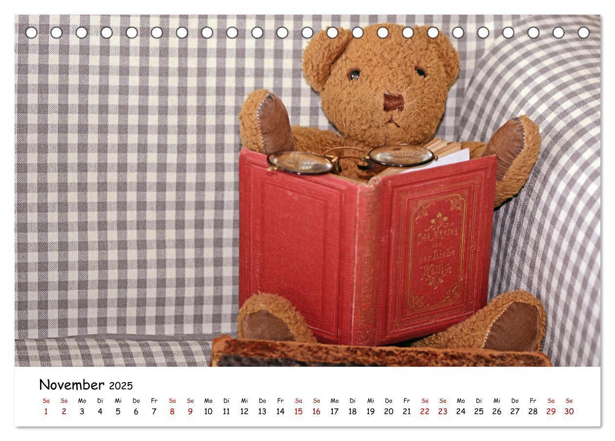 Bild: 9783383964459 | Allerliebste Teddybären (Tischkalender 2025 DIN A5 quer), CALVENDO...