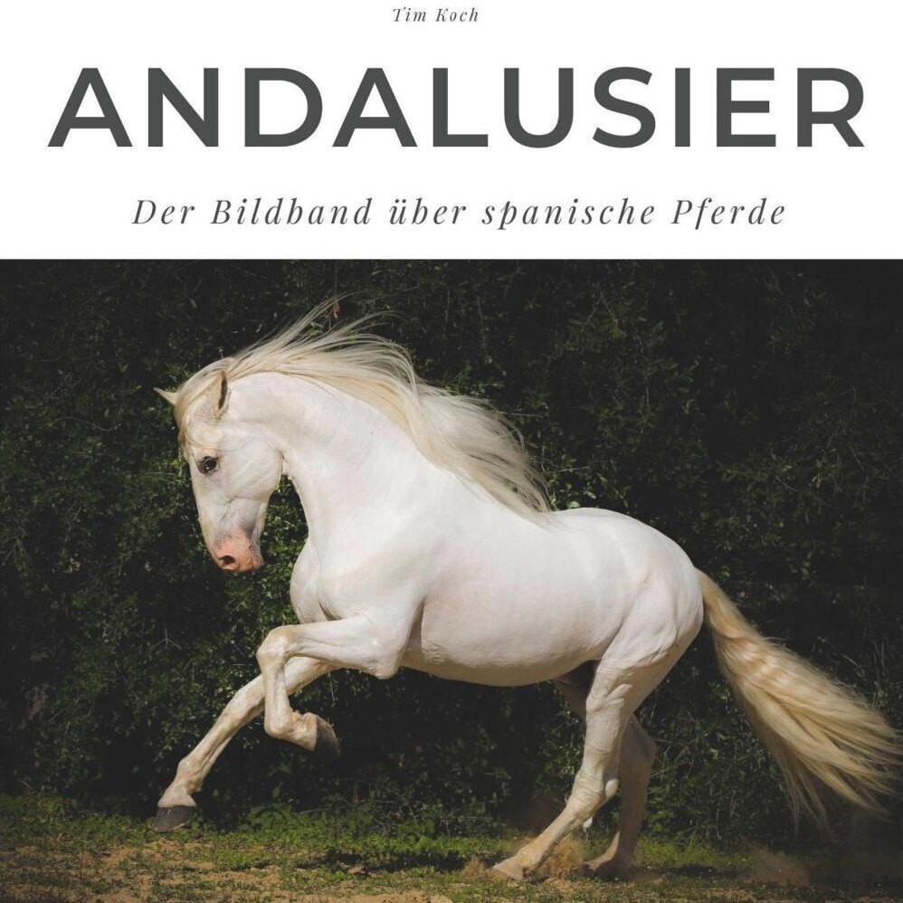 Cover: 9783750501867 | Andalusier | Der Bildband über spanische Pferde | Tim Koch | Buch