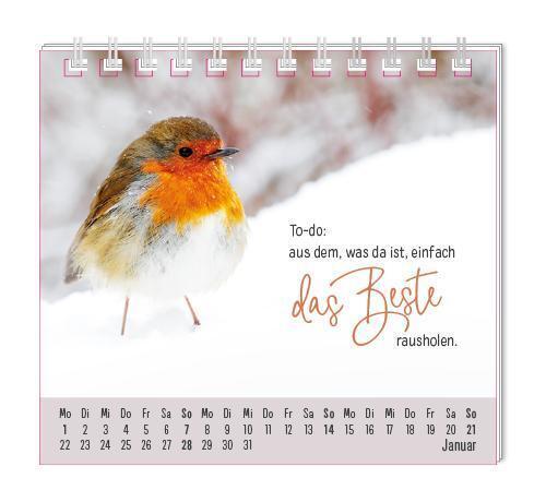 Bild: 9783986360337 | Mini-Kalender 2024 Eine Extraportion Glück für dich! | Mini-Kalender