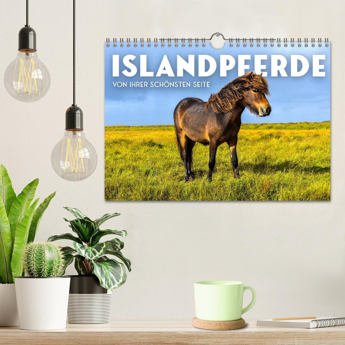 Bild: 9783383930690 | Islandpferde - Von ihrer schönsten Seite (Wandkalender 2025 DIN A4...