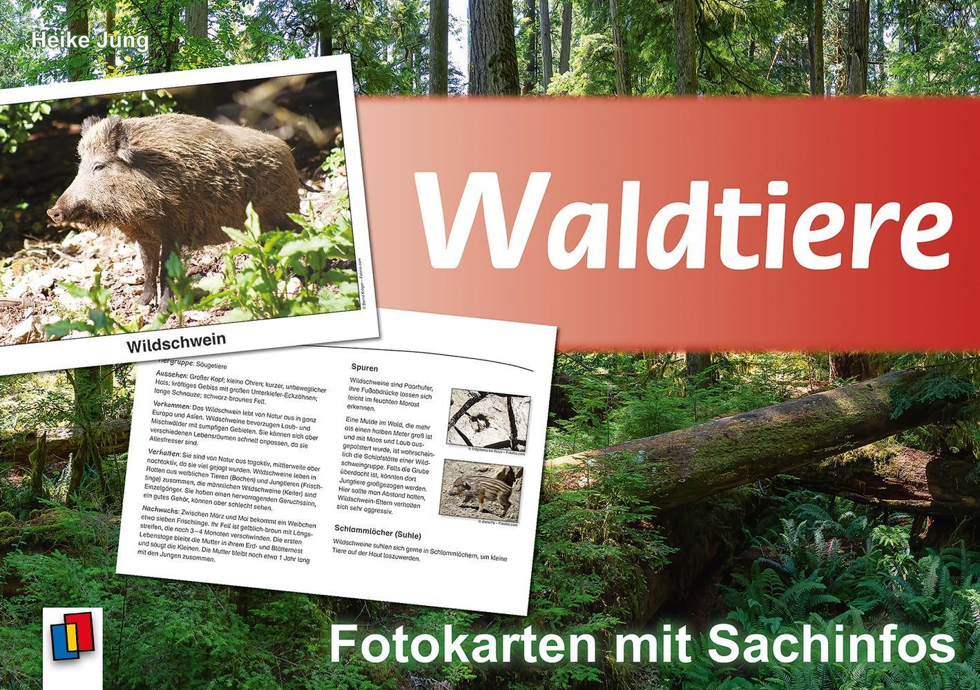 Cover: 9783834604323 | Waldtiere - Fotokarten mit Sachinfos | Heike Jung | Box | 16 S. | 2008