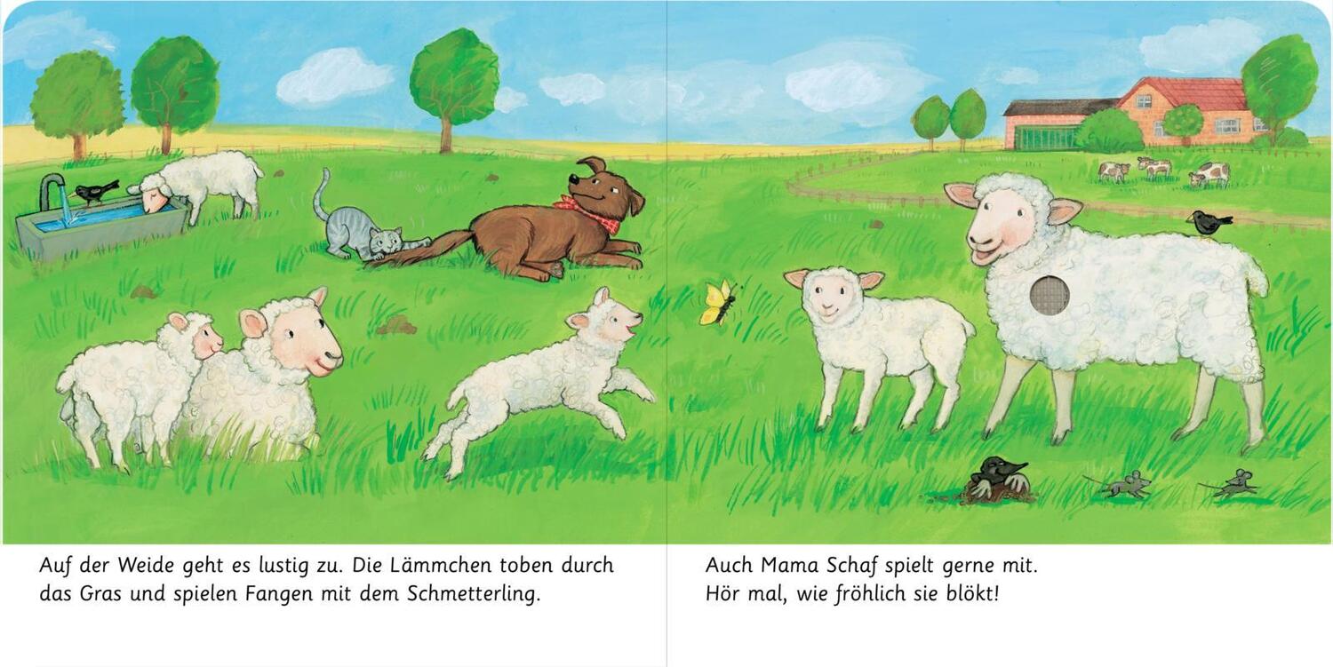 Bild: 9783845842790 | Hör mal, so klingt der Bauernhof | Mit 5 Sounds | Anne Böhm | Buch