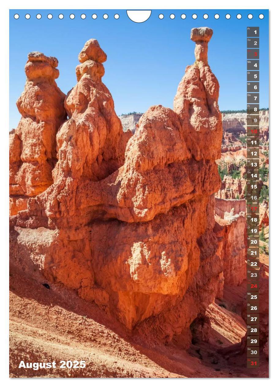 Bild: 9783435973507 | BRYCE CANYON Natur Pur (Wandkalender 2025 DIN A4 hoch), CALVENDO...