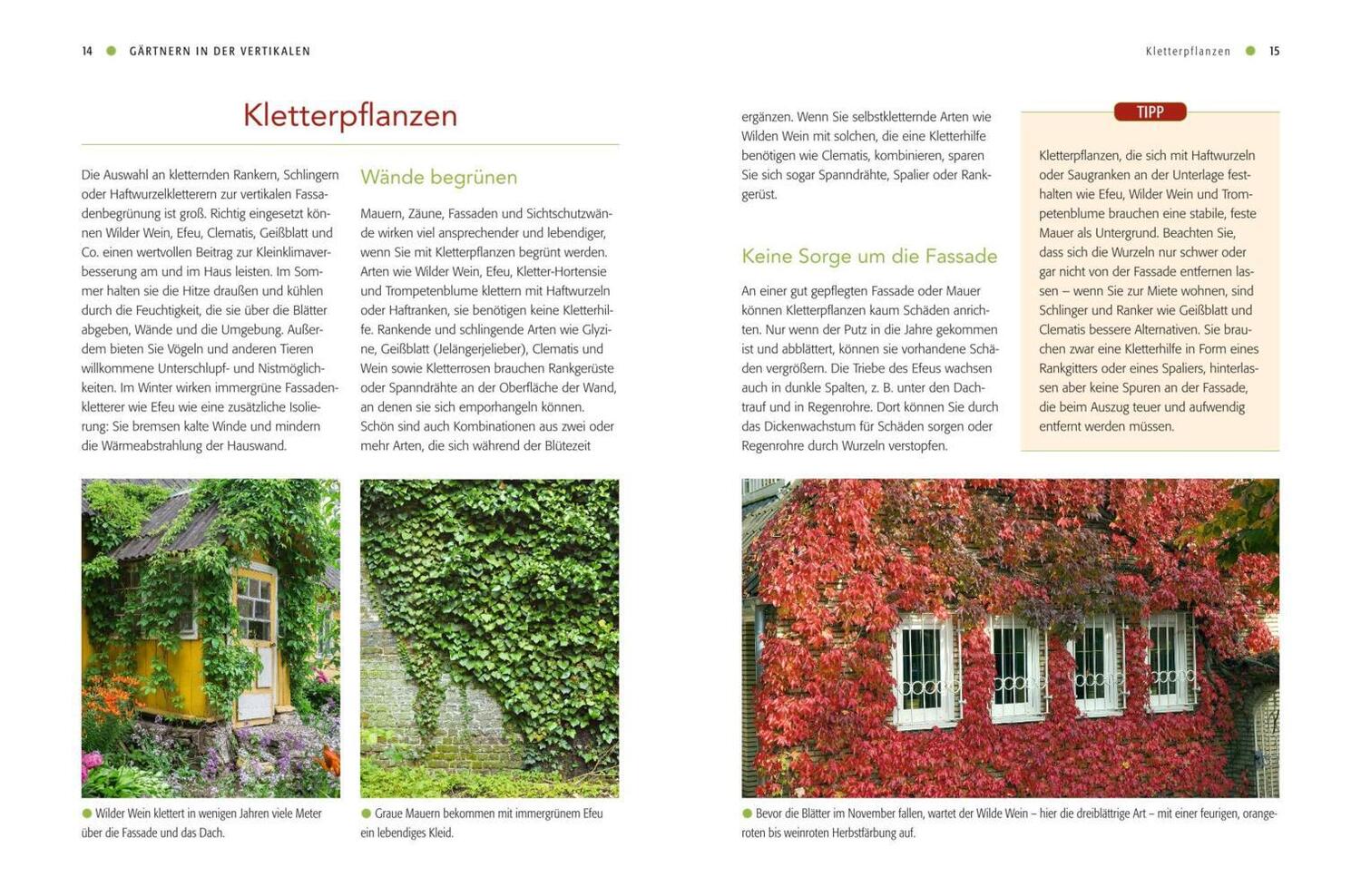 Bild: 9783835414495 | Vertical gardening | 44 Projekte für Balkon &amp; Garten | Folko Kullmann