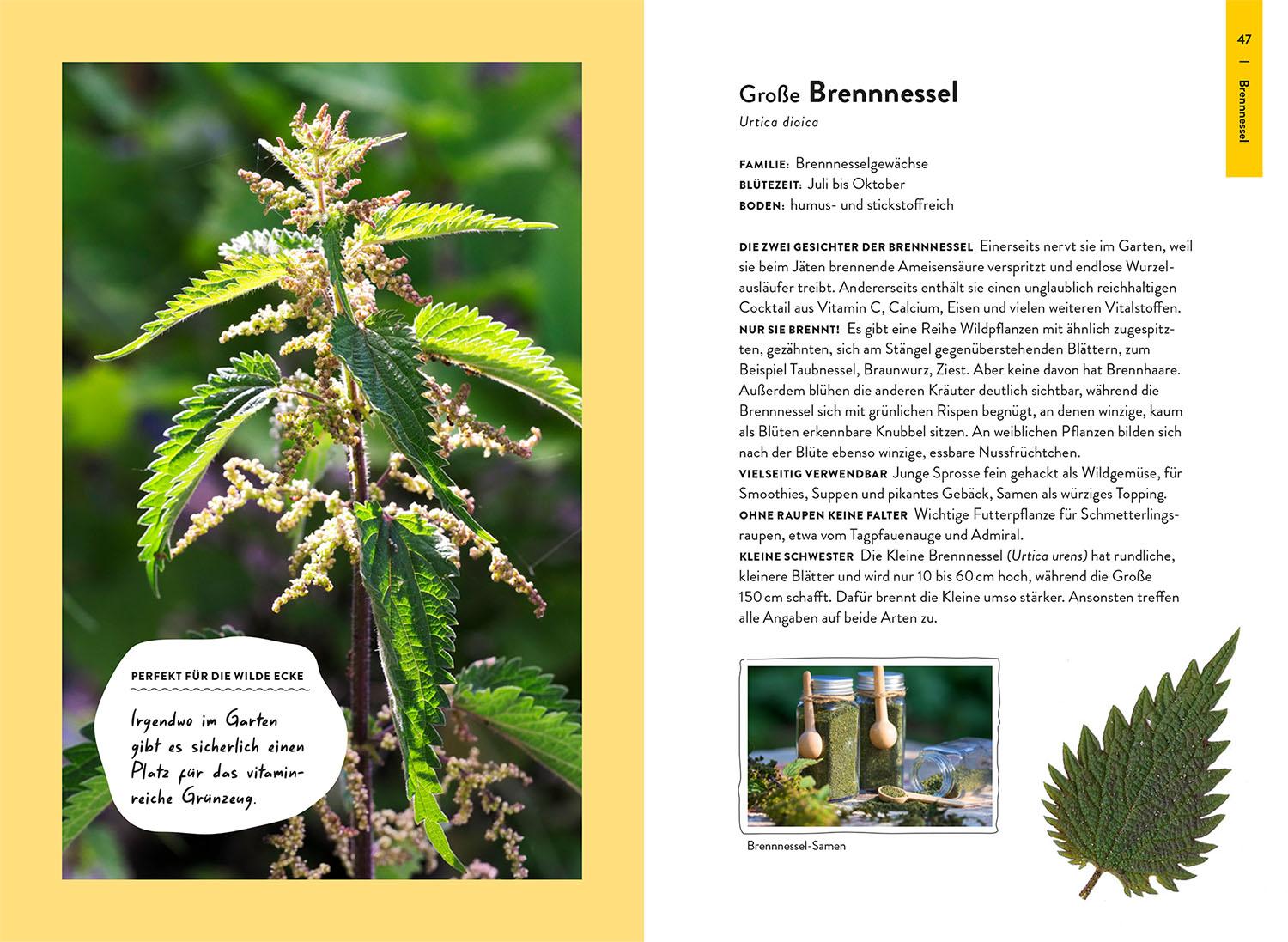 Bild: 9783440180518 | Garden Guide Wildkrautampel | Jutta Over | Taschenbuch | 144 S. | 2025