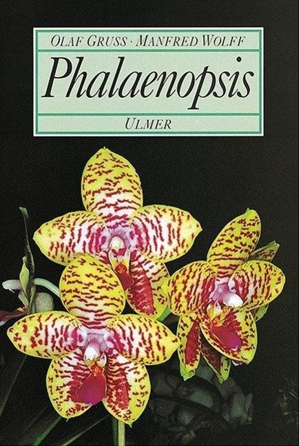 Phalaenopsis - Gruß, Olaf