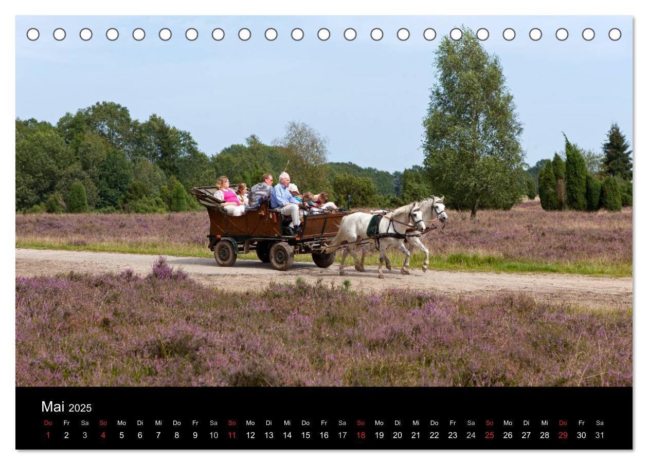 Bild: 9783435790753 | Hansestadt Lüneburg und Lüneburger Heide (Tischkalender 2025 DIN A5...