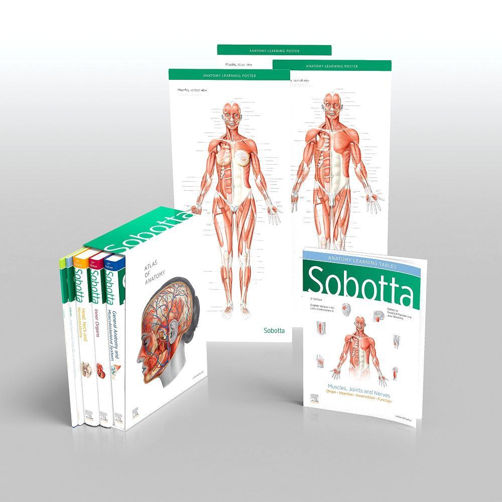 Cover: 9780702067648 | Sobotta Atlas of Anatomy, Package, 17th ed., English/Latin | Waschke