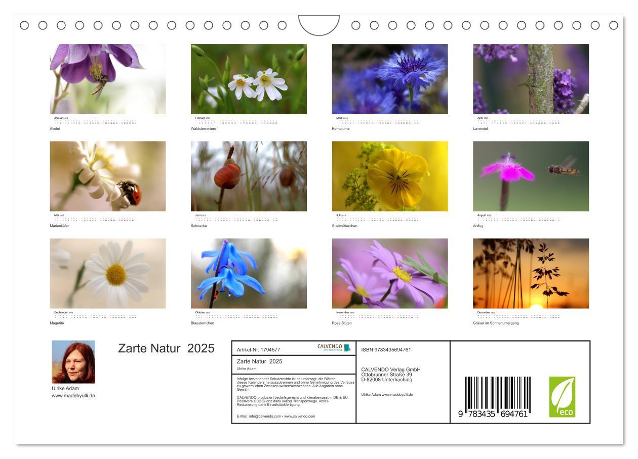 Bild: 9783435694761 | Zarte Natur 2025 (Wandkalender 2025 DIN A4 quer), CALVENDO...