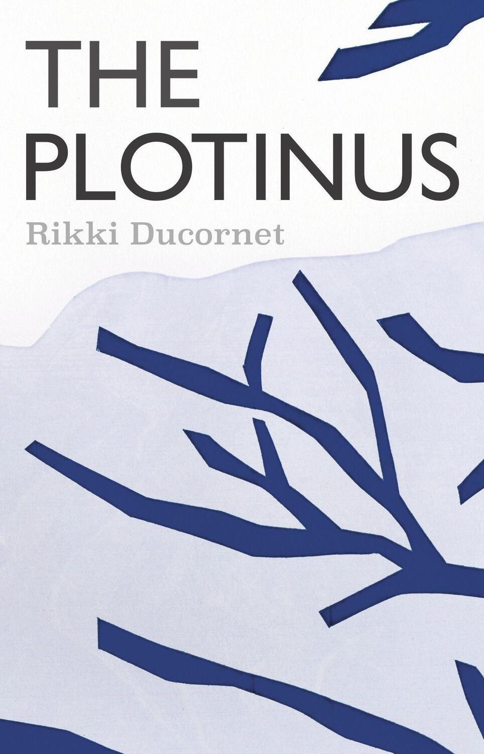 Cover: 9781566896818 | The Plotinus | Rikki Ducornet | Taschenbuch | NVLA | Englisch | 2023