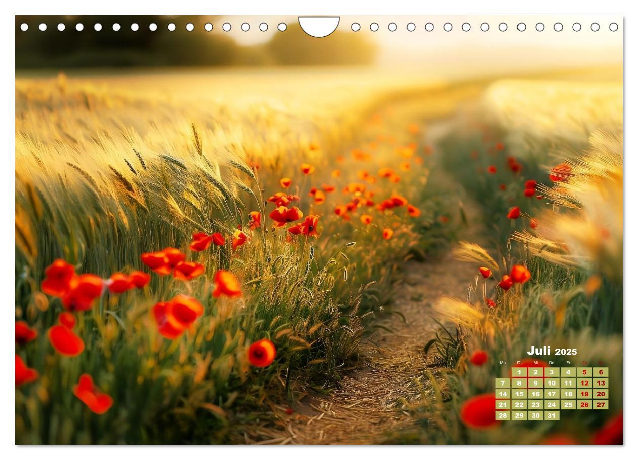 Bild: 9783457164662 | Neue Wege erkunden (Wandkalender 2025 DIN A4 quer), CALVENDO...