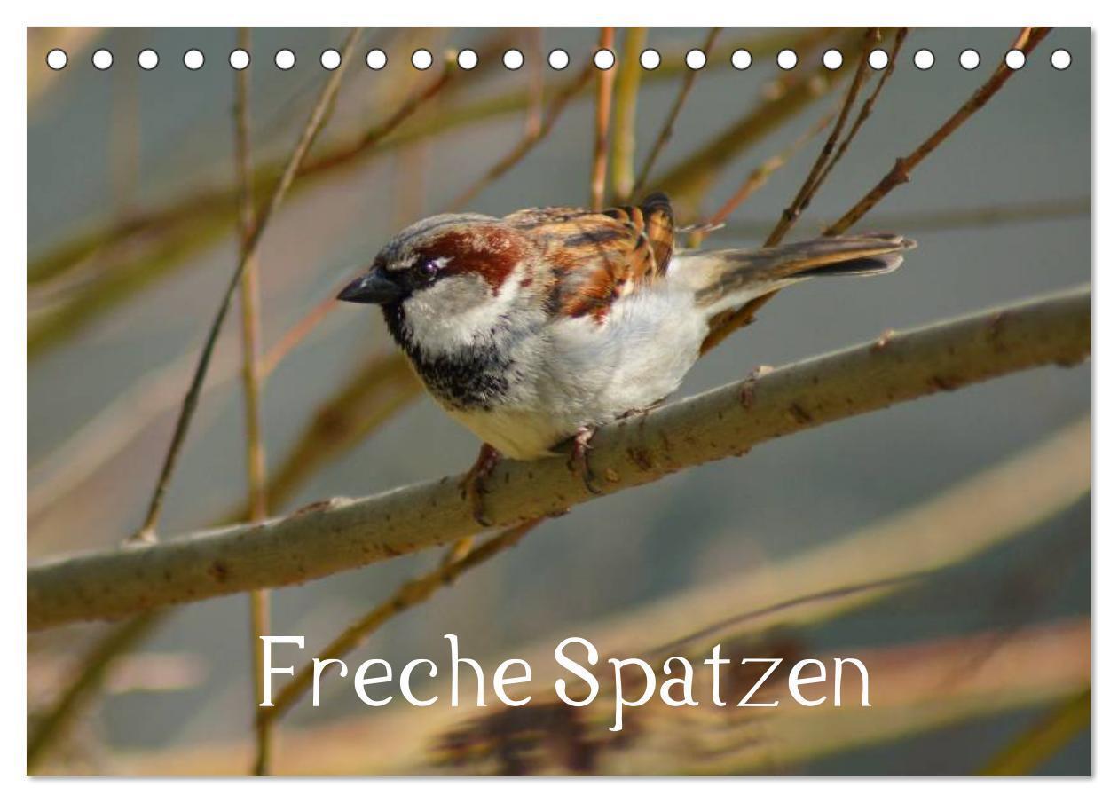 Cover: 9783383616747 | Freche Spatzen (Tischkalender 2024 DIN A5 quer), CALVENDO...