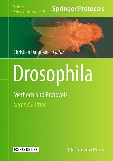 Cover: 9781493963690 | Drosophila | Methods and Protocols | Christian Dahmann | Buch | 2016