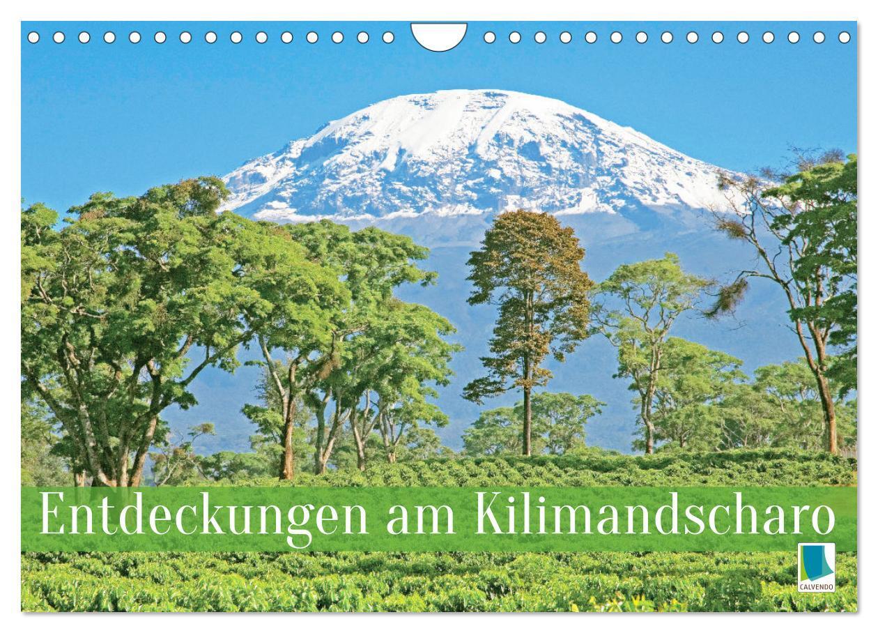 Cover: 9783435461615 | Entdeckungen am Kilimandscharo (Wandkalender 2025 DIN A4 quer),...