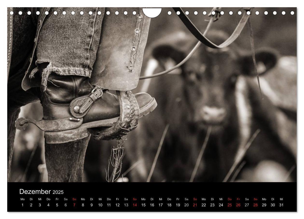 Bild: 9783435570072 | Westernreiten (Wandkalender 2025 DIN A4 quer), CALVENDO Monatskalender