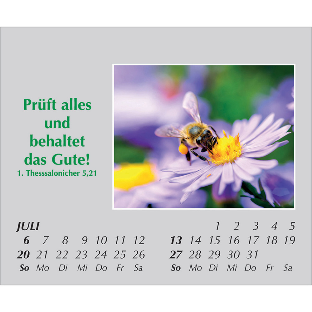 Bild: 9783754861059 | Freude für jeden Tag 2025 | Kalender | Spiralbindung. Spiralbindung