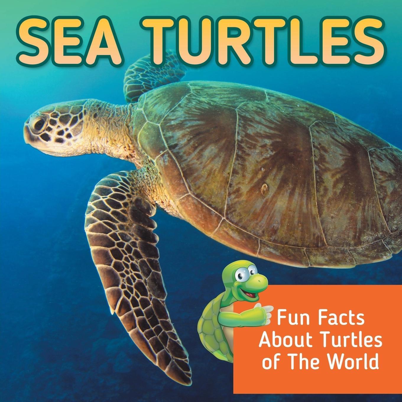 Cover: 9781682800980 | Sea Turtles | Fun Facts About Turtles of The World | Baby | Buch