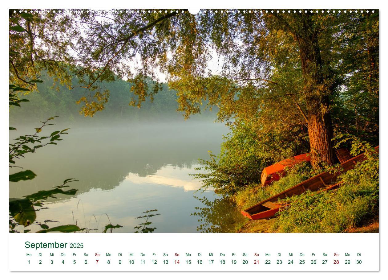 Bild: 9783383994807 | Auwälder bei Enns (Wandkalender 2025 DIN A2 quer), CALVENDO...