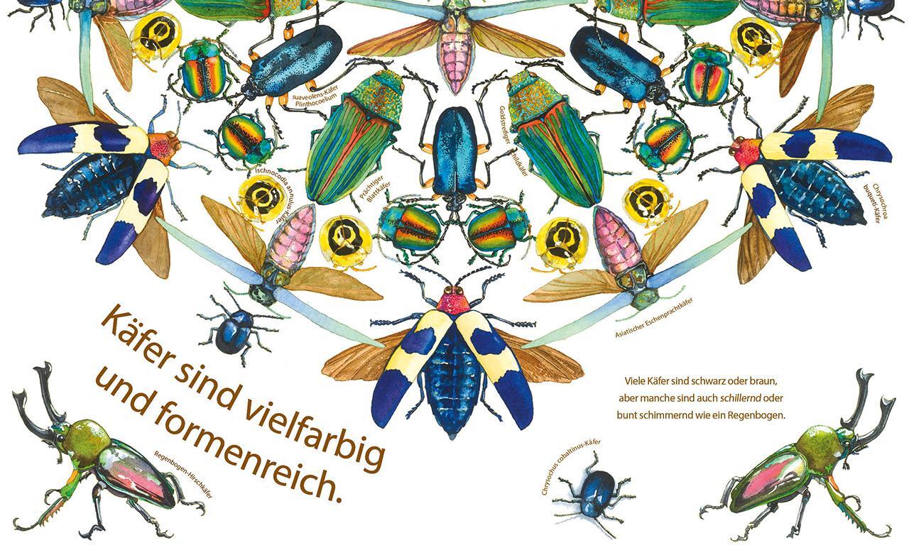 Bild: 9783785589199 | Die fabelhafte Welt der Käfer | Dianna Hutts Aston | Buch | Naturkind