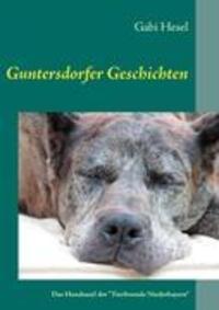 Cover: 9783839138410 | Guntersdorfer Geschichten | Gabi Hesel | Taschenbuch | Paperback