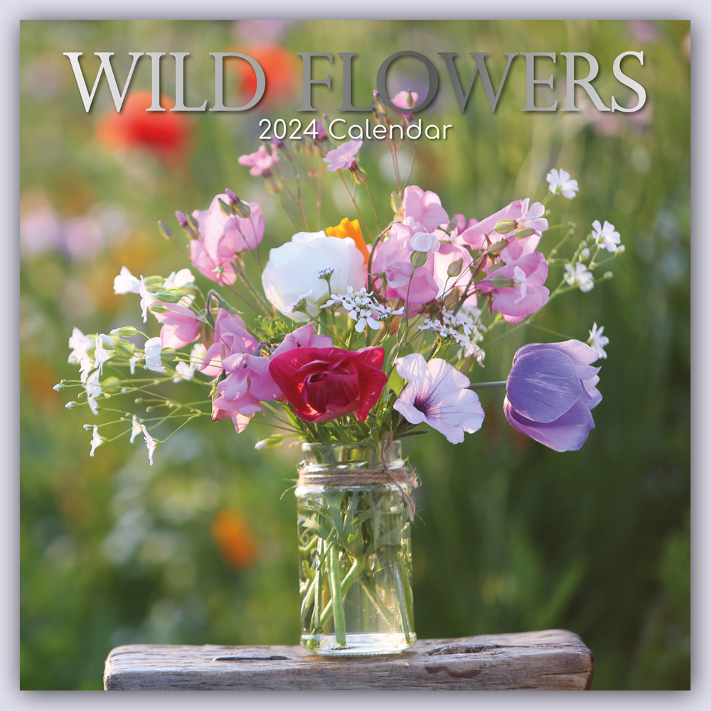 Cover: 9781804108208 | Wild Flowers - Wildblumen 2024 - 16-Monatskalender | Ltd | Kalender