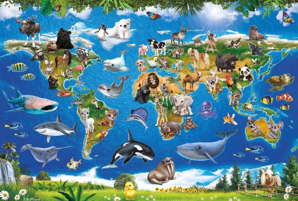 Bild: 4001504563554 | Lococo Tierwelt (Kinderpuzzle) | Spiel | In Spielebox | 2020 | Schmidt