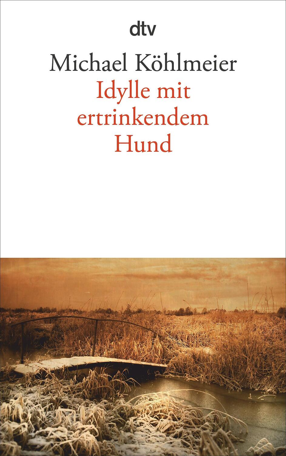 Cover: 9783423139052 | Idylle mit ertrinkendem Hund | Michael Köhlmeier | Taschenbuch | 2010