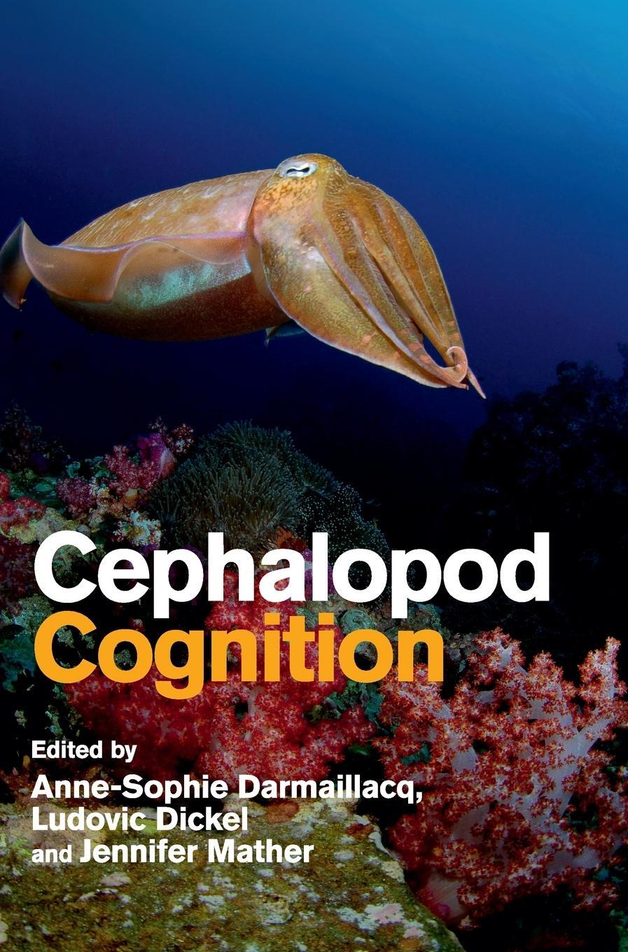 Cover: 9781107015562 | Cephalopod Cognition | Jennifer Mather | Buch | Englisch | 2017