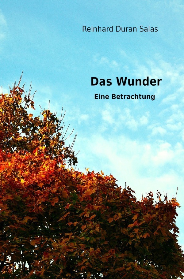 Cover: 9783758440250 | Das Wunder | Eine Betrachtung | Reinhard Duran Salas | Taschenbuch