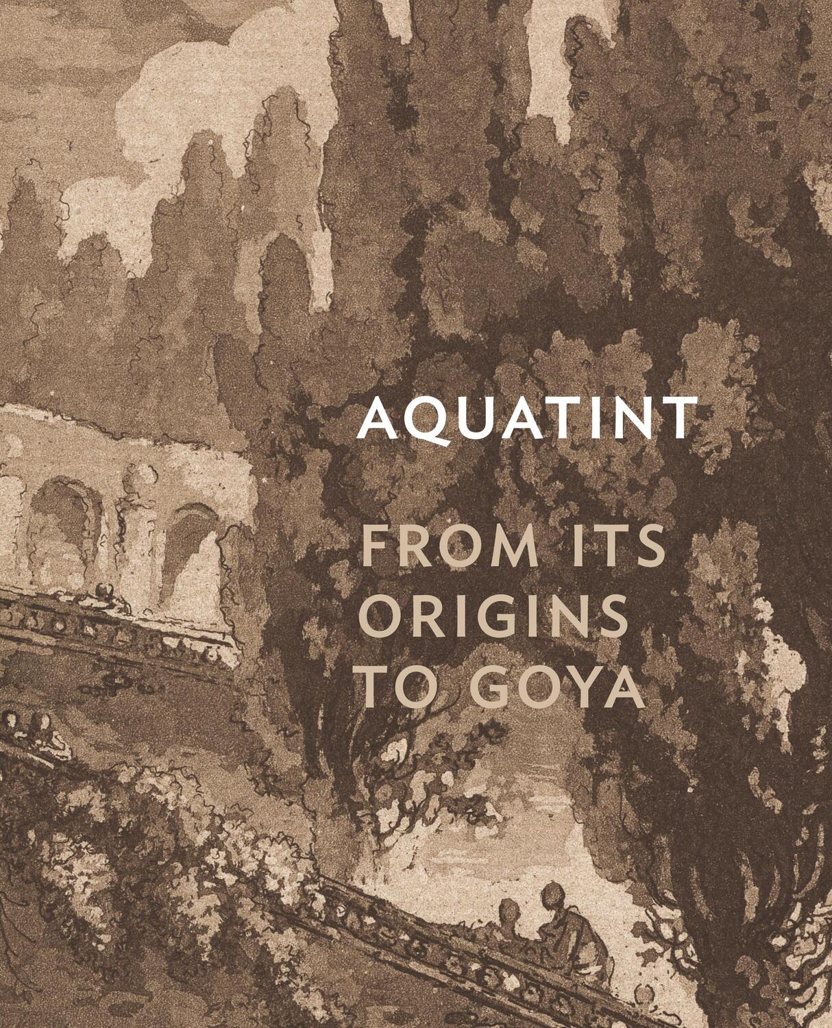 Cover: 9780691229799 | Aquatint | From Its Origins to Goya | Rena M Hoisington | Buch | 2021