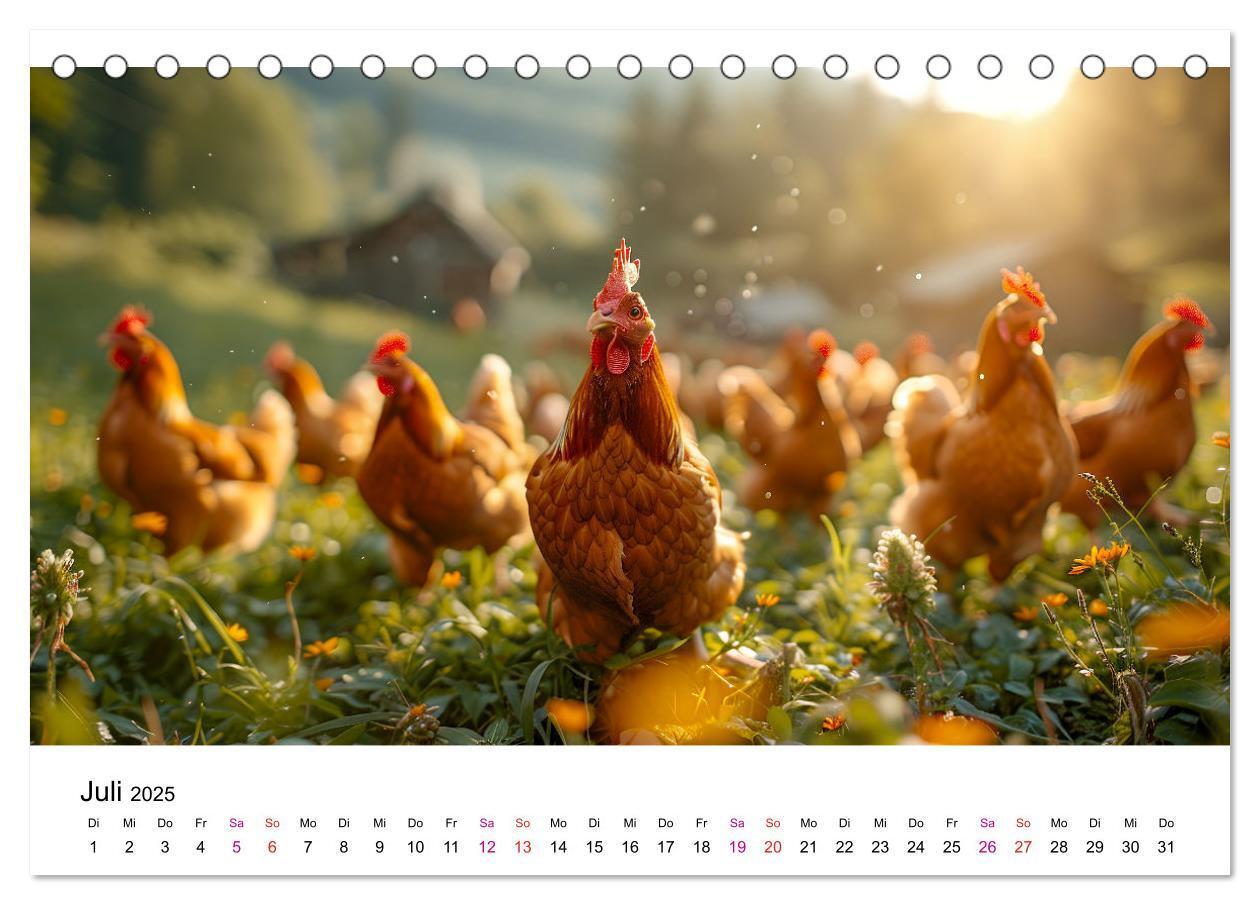 Bild: 9783457174951 | Hühner Federvieh (Tischkalender 2025 DIN A5 quer), CALVENDO...