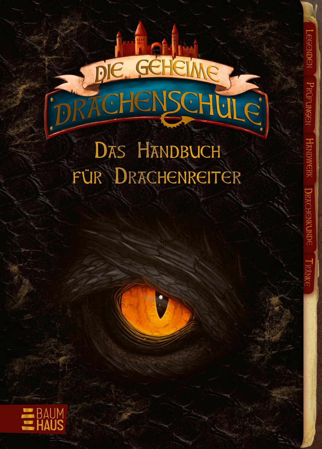 Cover: 9783833908187 | Die geheime Drachenschule - Das Handbuch für Drachenreiter | Skye