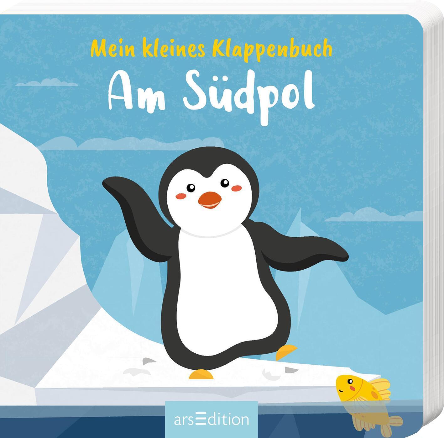 Cover: 9783845853550 | Mein kleines Klappenbuch - Am Südpol | Buch | 14 S. | Deutsch | 2023