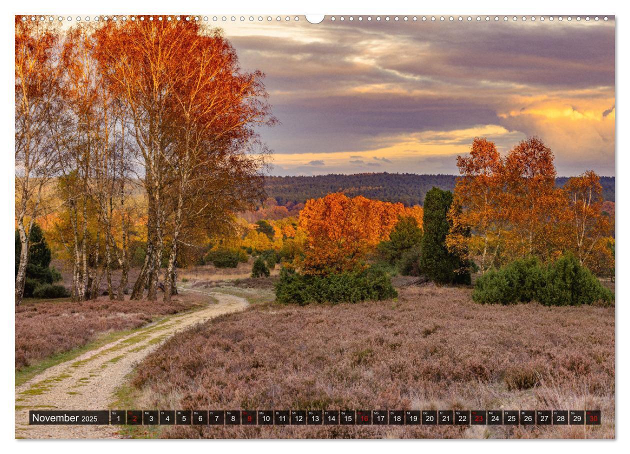 Bild: 9783383954740 | Die Lüneburger Heide - Faszination einer Naturlandschaft...