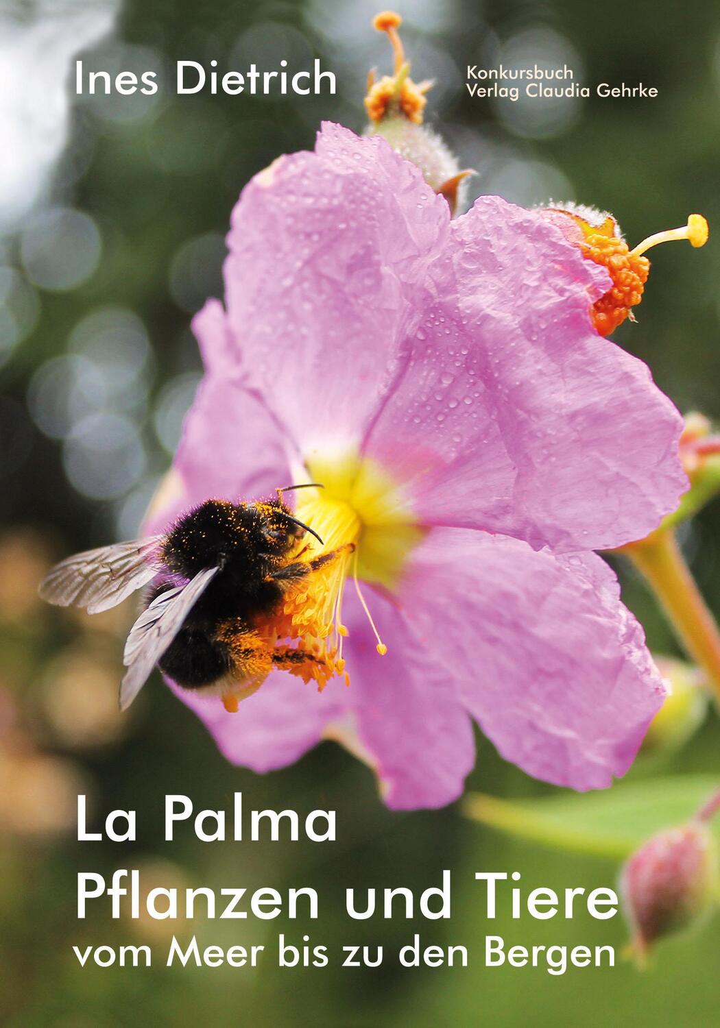 Cover: 9783887690069 | La Palma. Pflanzen und Tiere vom Meer bis zu den Bergen | Ines | Buch