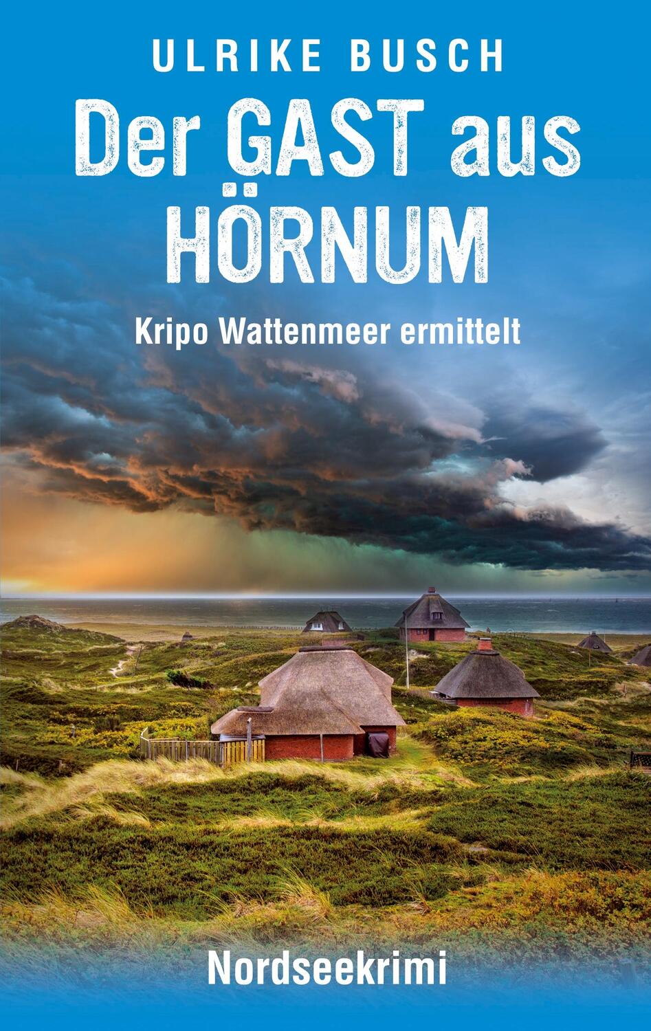 Cover: 9783756225088 | Der Gast aus Hörnum | Nordseekrimi | Ulrike Busch | Taschenbuch
