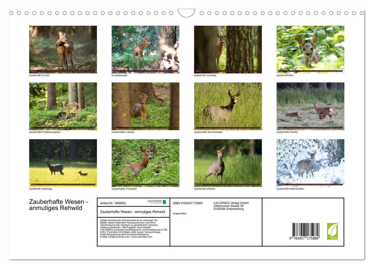 Bild: 9783457175989 | Zauberhafte Wesen - anmutiges Rehwild (Wandkalender 2025 DIN A3...