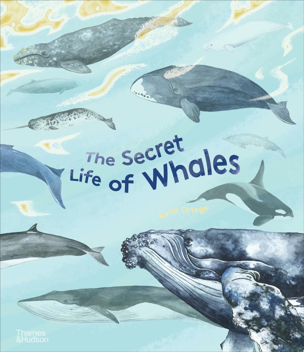 Cover: 9780500652671 | The Secret Life of Whales | Rena Ortega | Buch | Gebunden | Englisch