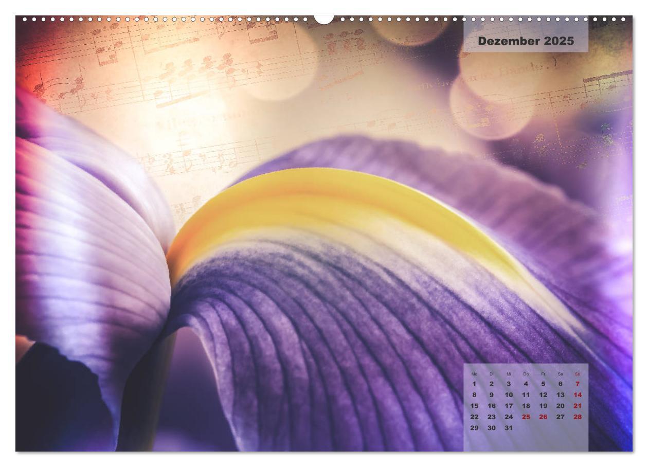 Bild: 9783435304523 | Blüten im Retro-Style (Wandkalender 2025 DIN A2 quer), CALVENDO...