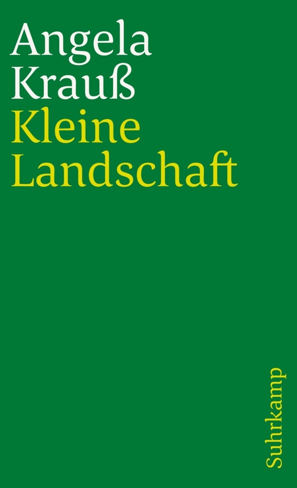 Cover: 9783518383483 | Kleine Landschaft | Erzählungen | Angela Krauß | Taschenbuch | 119 S.